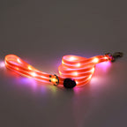 Collier lumineux LED pour chien