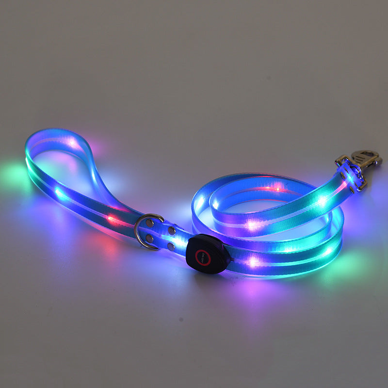 Collier lumineux LED pour chien