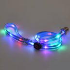 Collier lumineux LED pour chien
