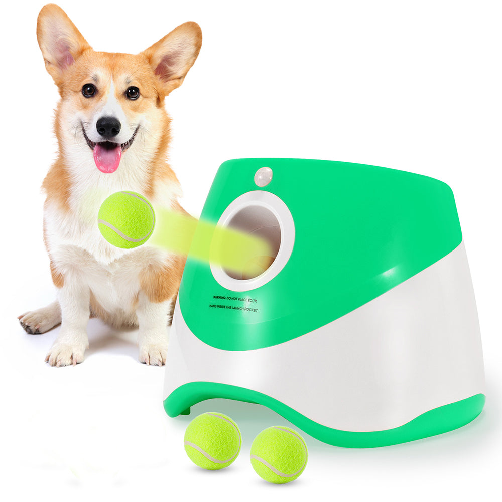 Automatic Ball Launcher for Dogs.