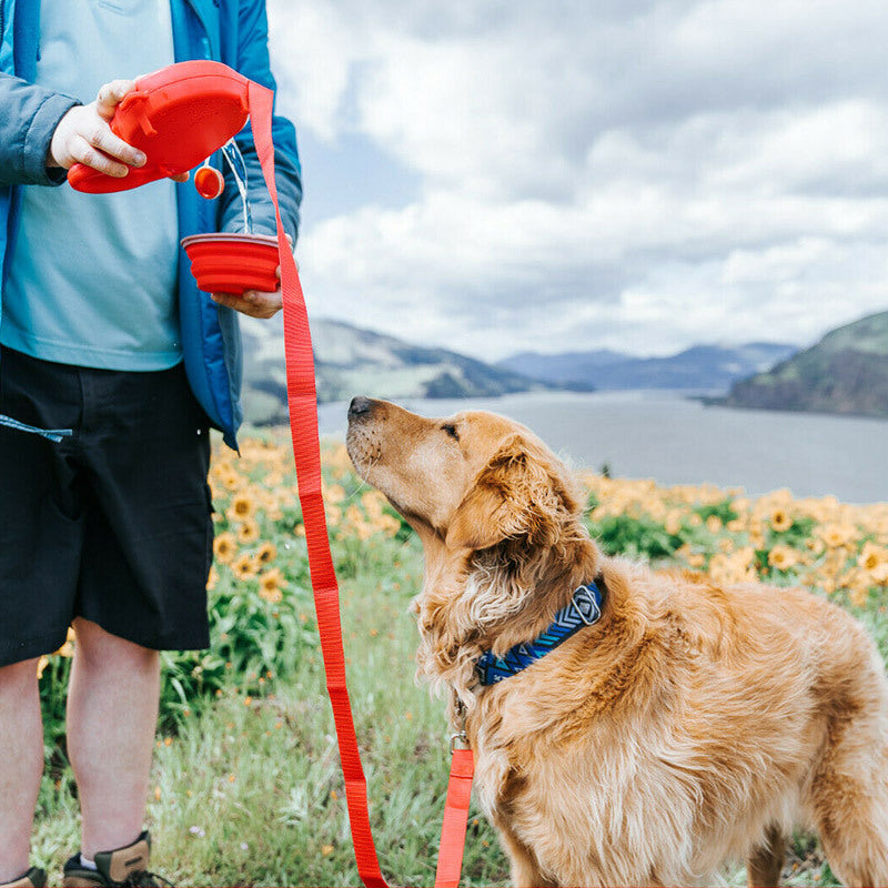 Laisse pour chien avec bouteille d'eau intégrée