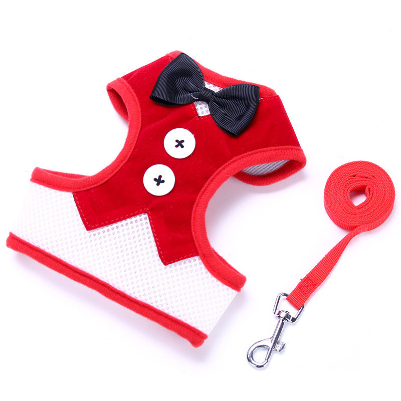 Ensemble laisse et gilet pour petit chien