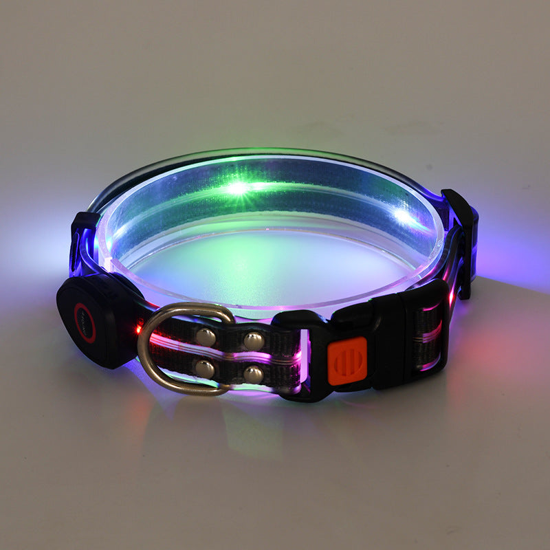 Collier lumineux LED pour chien