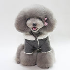 Winter Fashion Pet Clothing