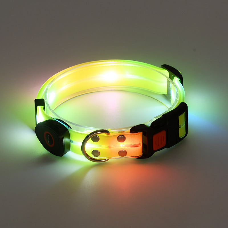 Collier lumineux LED pour chien