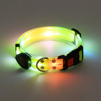 Collier lumineux LED pour chien