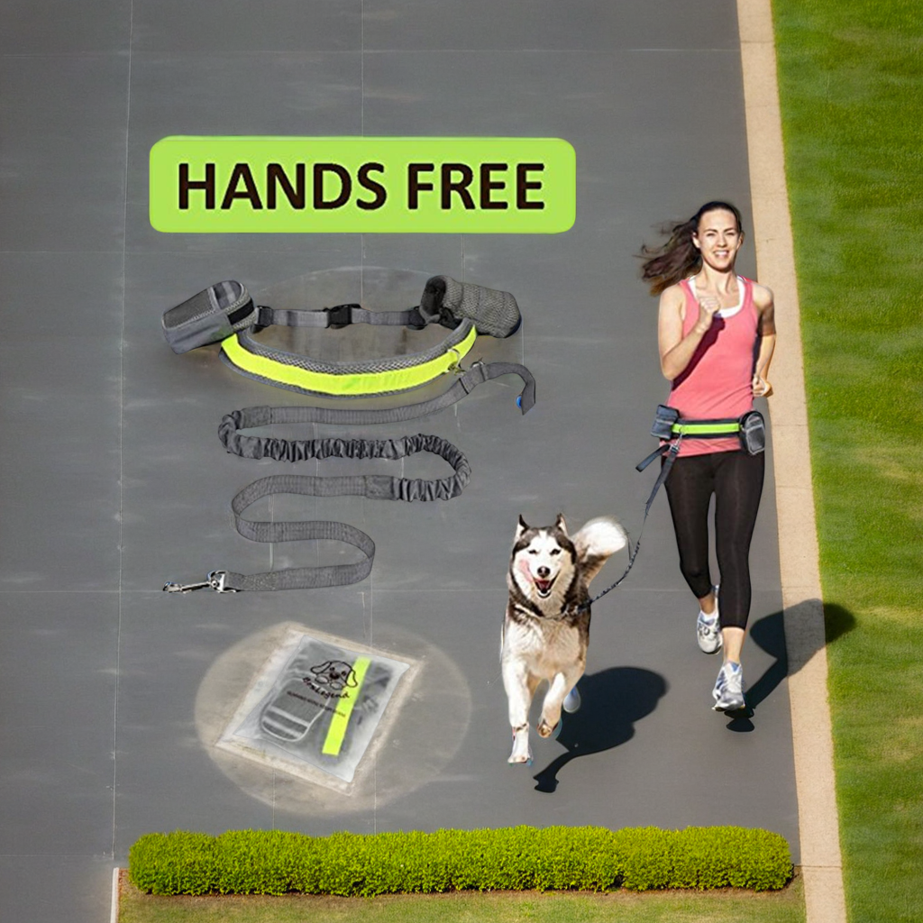 Laisse pour chien mains libres réglable