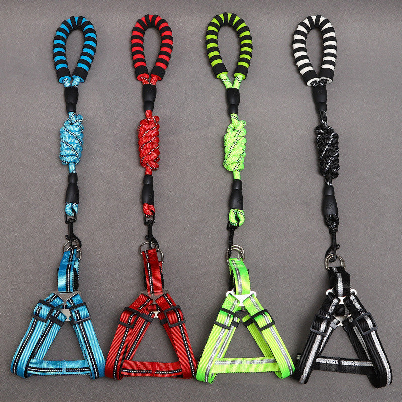 Laisse pour chien en nylon réfléchissant