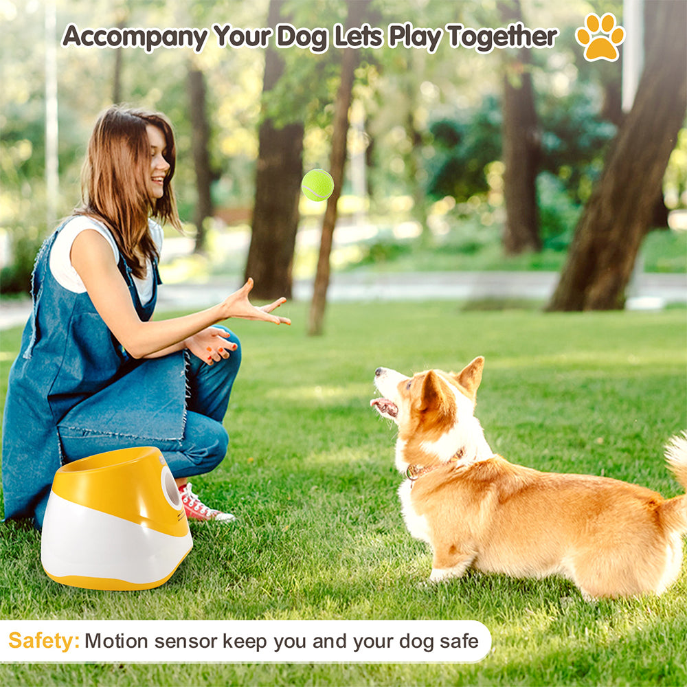 Automatic Ball Launcher for Dogs.