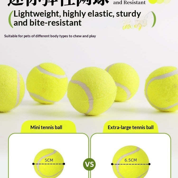 6-Pack 5cm Dog Tennis Balls – Compatible with the Automatic Ball Launcher