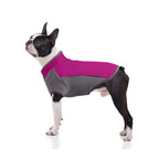 Autumn & Winter Thickened Dog Clothes