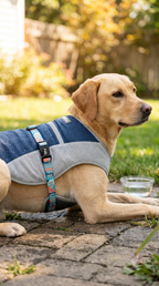 PawHaus Cooling Vest for Dogs