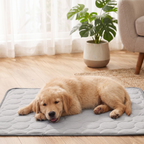 PawHauss ChillMat™ – Cooling Mat for Dogs & Cats