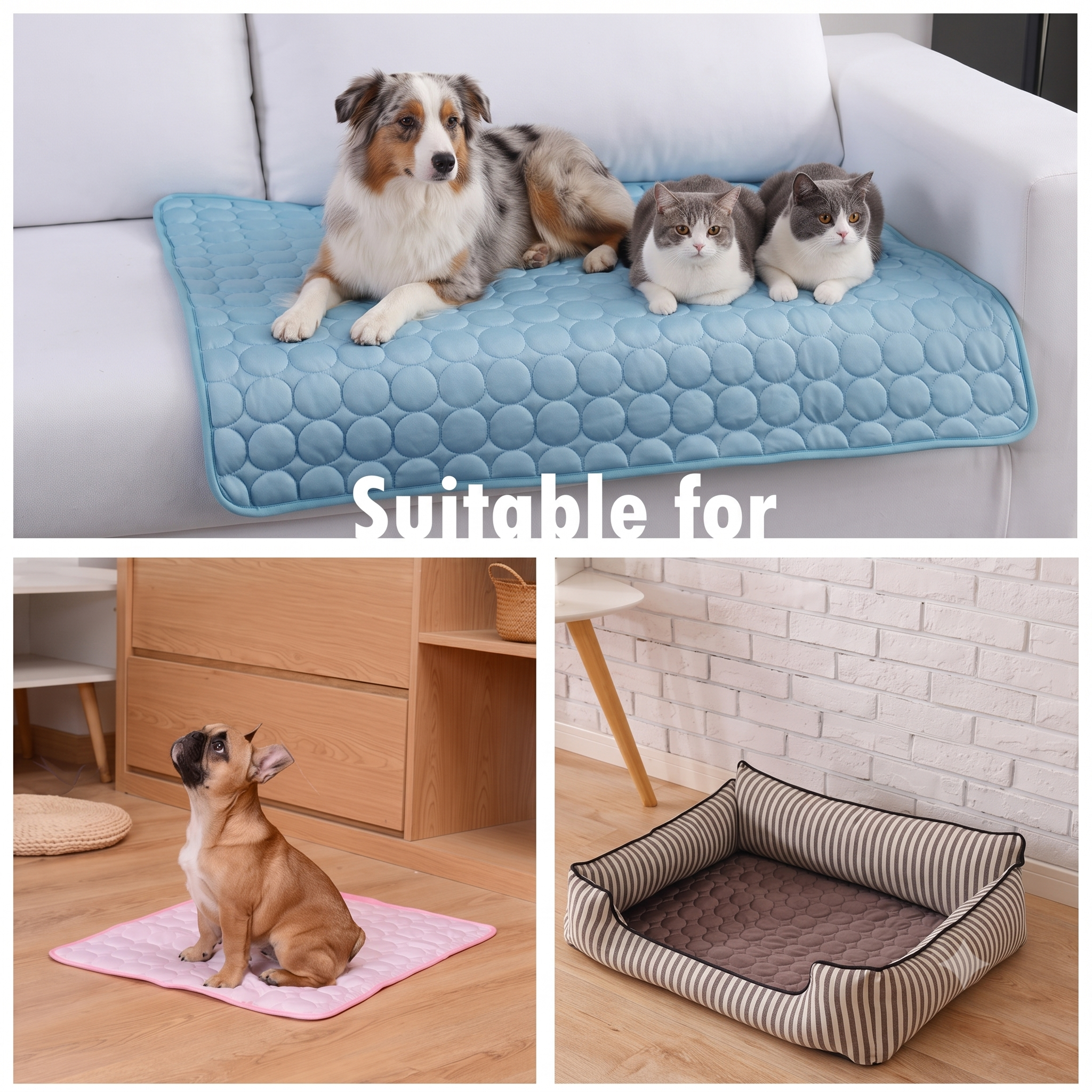PawHauss ChillMat™ – Cooling Mat for Dogs & Cats