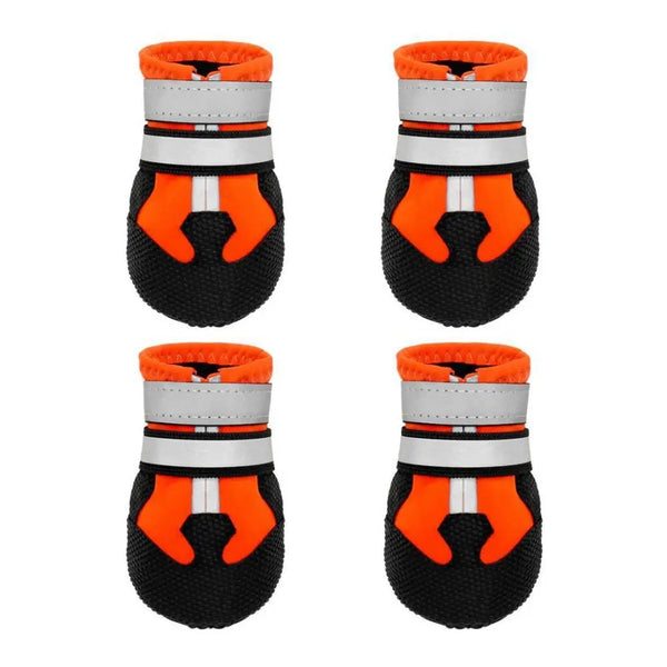 Orange / S