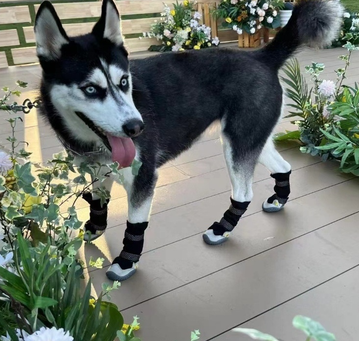 Winter Warm Dog Boots