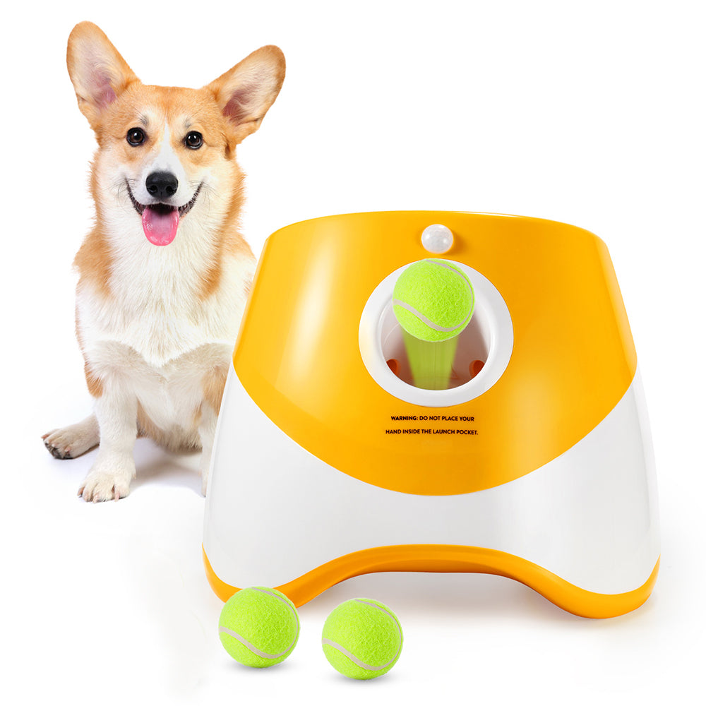 Automatic Ball Launcher for Dogs.