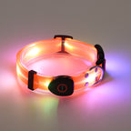 Collier lumineux LED pour chien