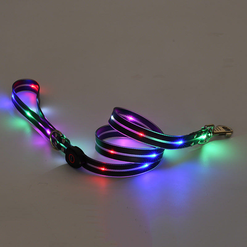 Collier lumineux LED pour chien