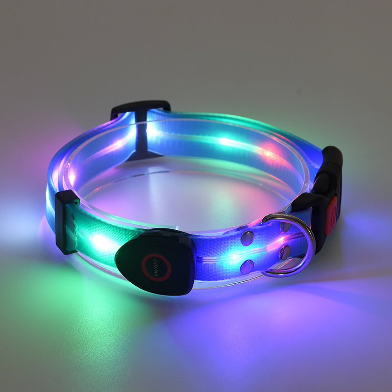 Collier lumineux LED pour chien