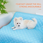 PawHaus ChillMat™ Cooling Pet Pad