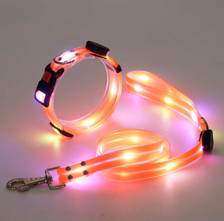 Collier lumineux LED pour chien
